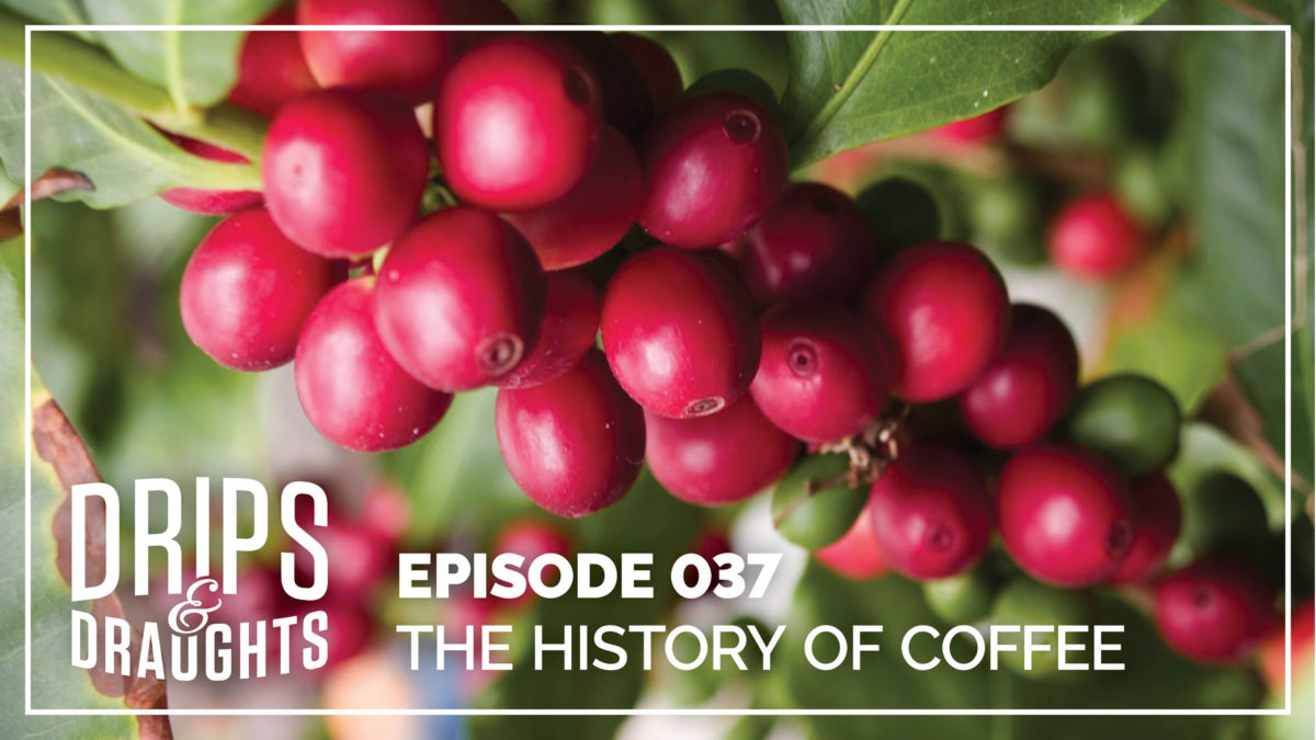 A Discussion on the History of Coffee & Common Coffee Terms and Labels