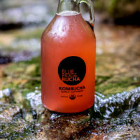 Blue Ridge Bucha